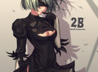 NieR:Automata - 2B